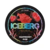 iceberg iceberg raspberry gum 2 iceberg iceberg raspberry gum