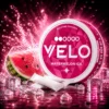 Velo Watermelon Ice image 800w
