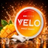 velo breezy mango 3 velo breezy mango