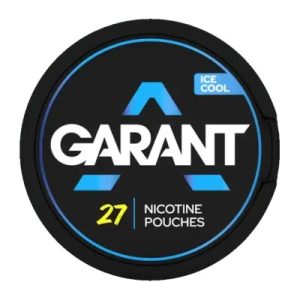 Garant Ice Cool nikotin poşeti