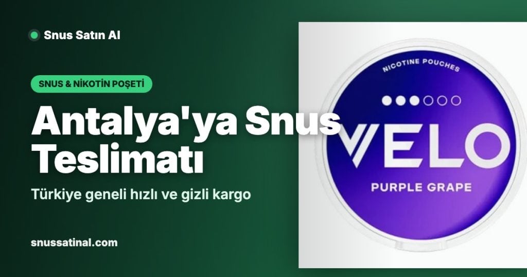 Antalya'ya Snus Teslimatı