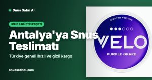 Antalya'ya Snus Teslimatı