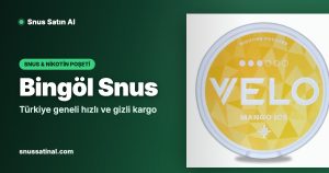 Bingöl Snus