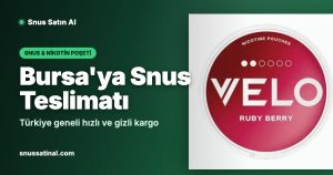 Bursa'ya Snus Teslimatı