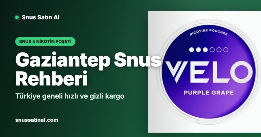 snus gaziantep og 5 Gaziantep Snus Rehberi