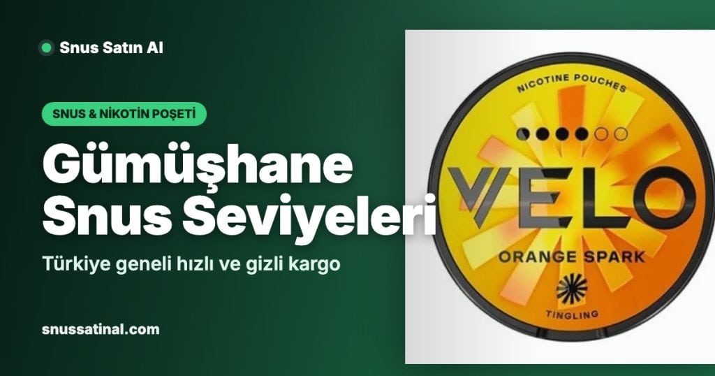1 Gümüşhane Snus Seviyeleri