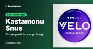 Kastamonu Snus