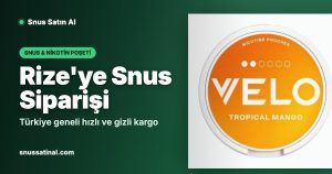Rize'ye Snus Siparişi