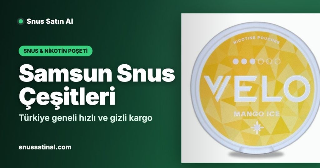 Samsun Snus Çeşitleri