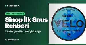 Sinop İlk Snus Rehberi