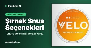 Şırnak Snus Seçenekleri