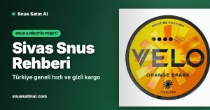 Sivas Snus Rehberi