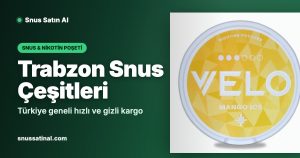 Trabzon Snus Çeşitleri